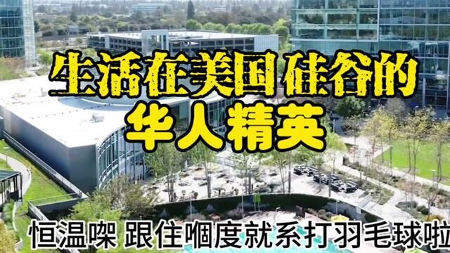 生活在美国硅谷的华人精英 #华人 #出国留学 #海外华人