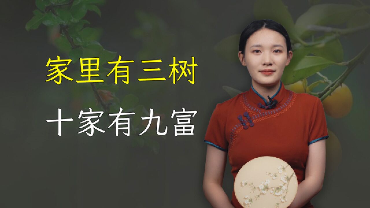 “家里有三树,十家有九富”,哪三种树?看看你家有吗