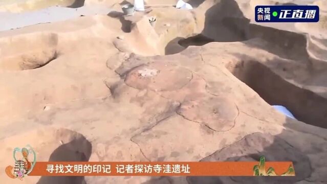 甘肃这些宝藏县区,很“亮豁”!陇西县:“黄芪之乡”打开乡村致富密码