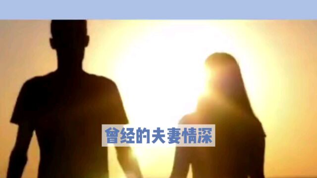 人到中年:再次相爱挽救婚姻