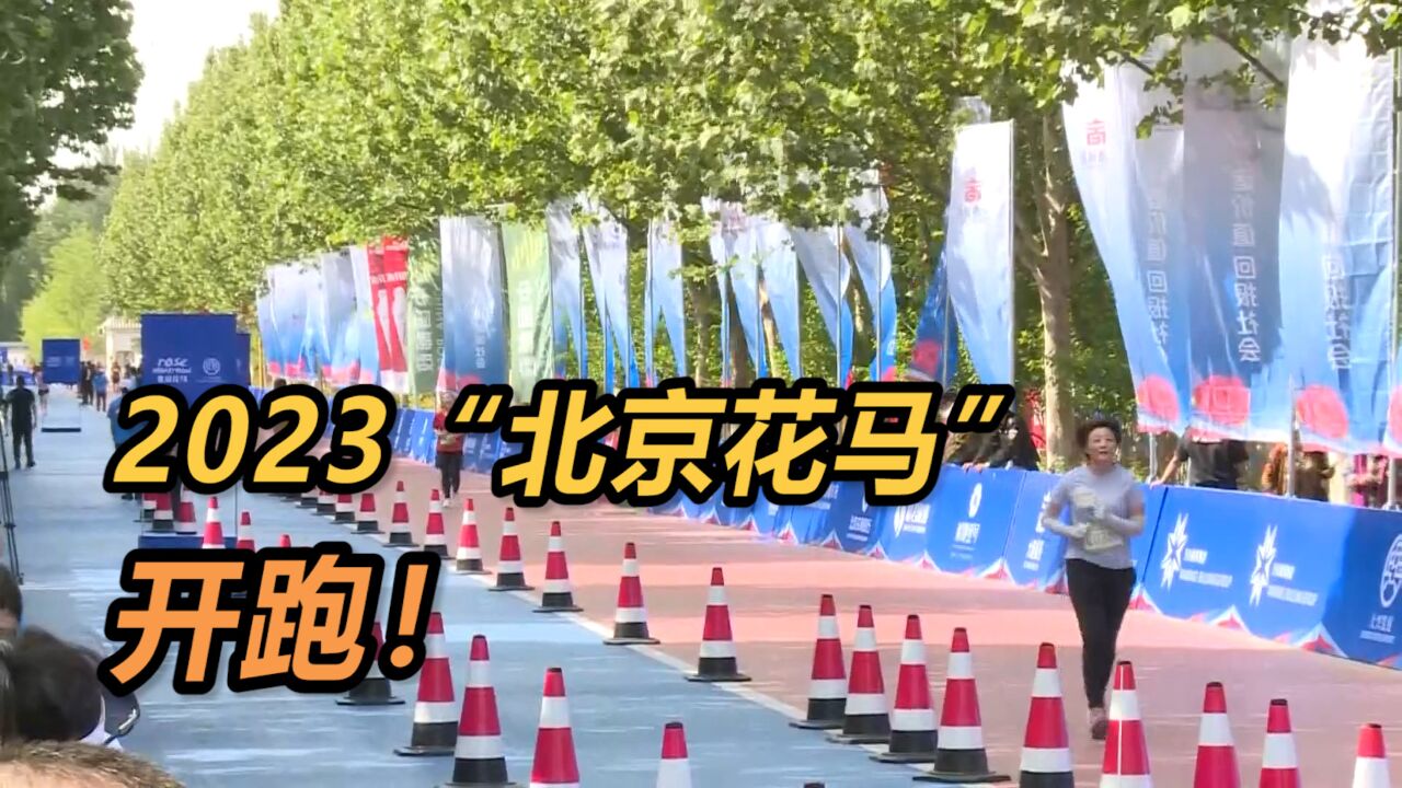 2023“北京花马”开跑!6000名跑者穿越林间花海