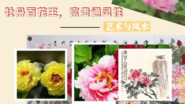 牡丹百花王,富贵通灵性——艺术与风水