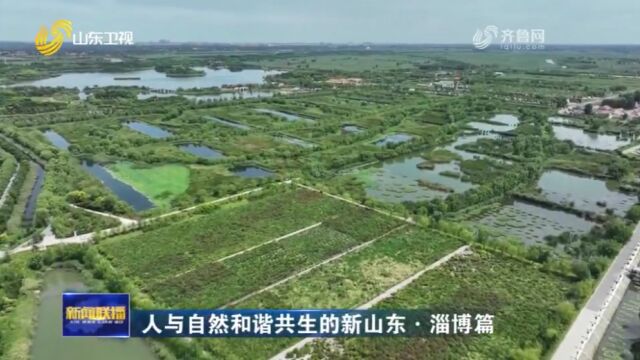 人与自然和谐共生的新山东ⷮŠ淄博篇 | 实施精准系统治理 全力提升水环境质量