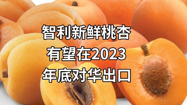 “一带一路”打开中国市场,智利新鲜杏桃有望2023年底对华出口