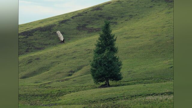 own hike brand campaign video