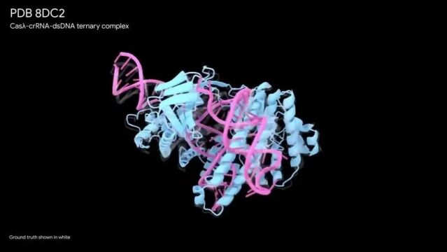 更高准确性,覆盖蛋白、核酸、复合物等更多分子,DeepMind发布AlphaFold新版本