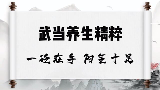 武当养生精粹——一砭在手 阳气十足