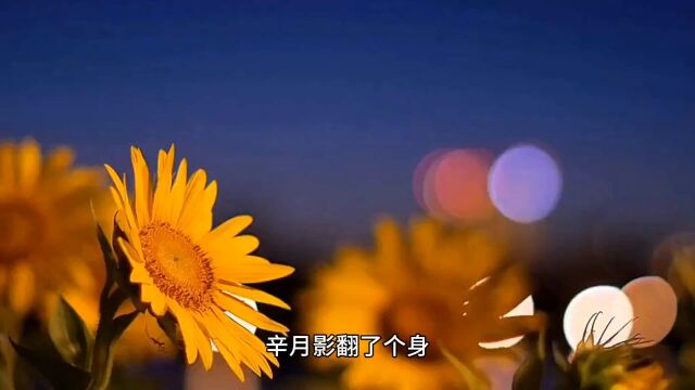 完整版《大不幸!穿成疯批反派的恶毒原配》辛月影全文