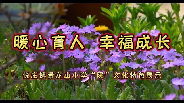 暖心育人 幸福成长 悦庄镇青龙山小学“暖”文化特色展示 吴玉玲 倪华 审核:苏爱宝 宋文明#暖心#特色 发布 翟斌 孙宵晓