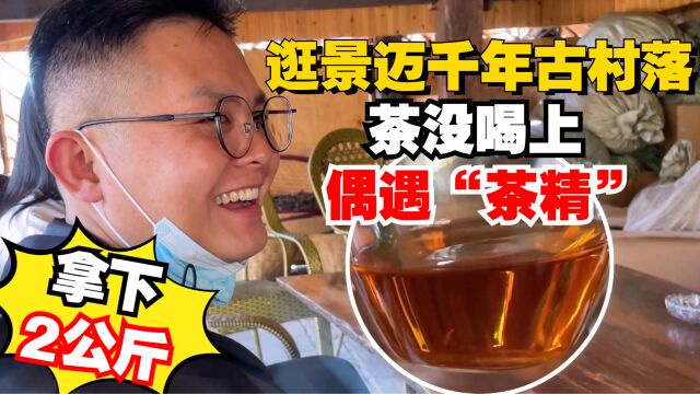 逛景迈千年古村落,茶没喝上竟偶遇“茶精”,老高直接拿下2公斤