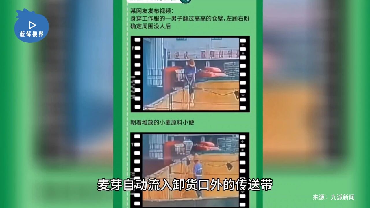 “青岛啤酒三厂小便事件”通报:外包公司装卸工在车厢内小便,由货车司机拍摄上传,两人曾发生口角