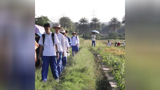 割禾、摘菜、喂鸡、生火做饭样样会,华附学子学农深体验