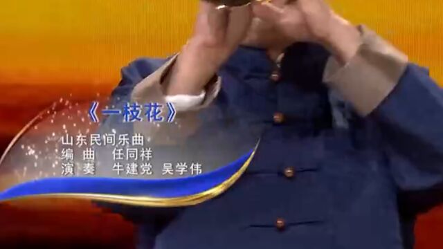 经典红歌!一首山东民曲《一枝花》,你喜欢吗