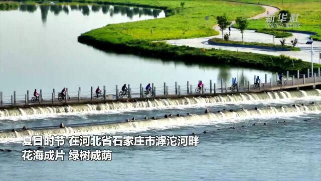 河北石家庄:“醉”美滹沱河 人在画中游