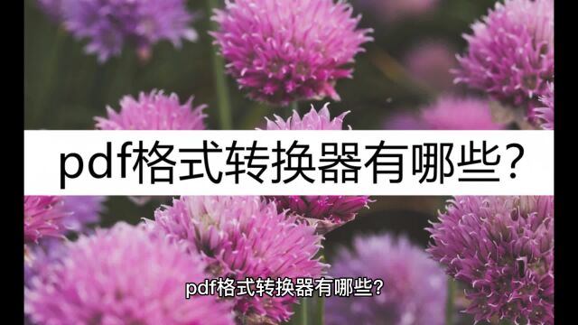 pdf格式转换器有哪些?看看这几个格式转换器