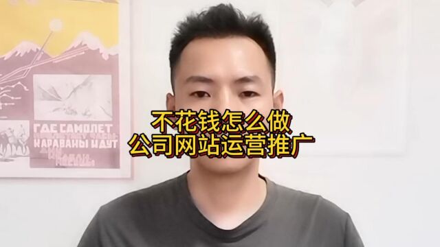 不花钱怎么做公司网站运营推广