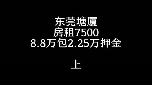 9.9成新的店,缺团队#旺铺转让 #临街商铺 #桥锅帮忙转 #桥锅找店转店