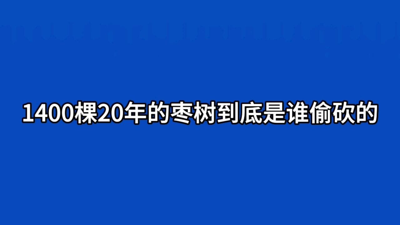 1400棵20年枣树到底是被谁偷砍的?