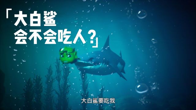 大白鲨其实从不吃人?你掌握的大白鲨知识都是错的