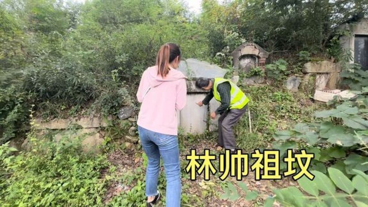 探访湖北黄冈林家大湾,林帅太爷爷的墓,就在故居旁凤凰山上