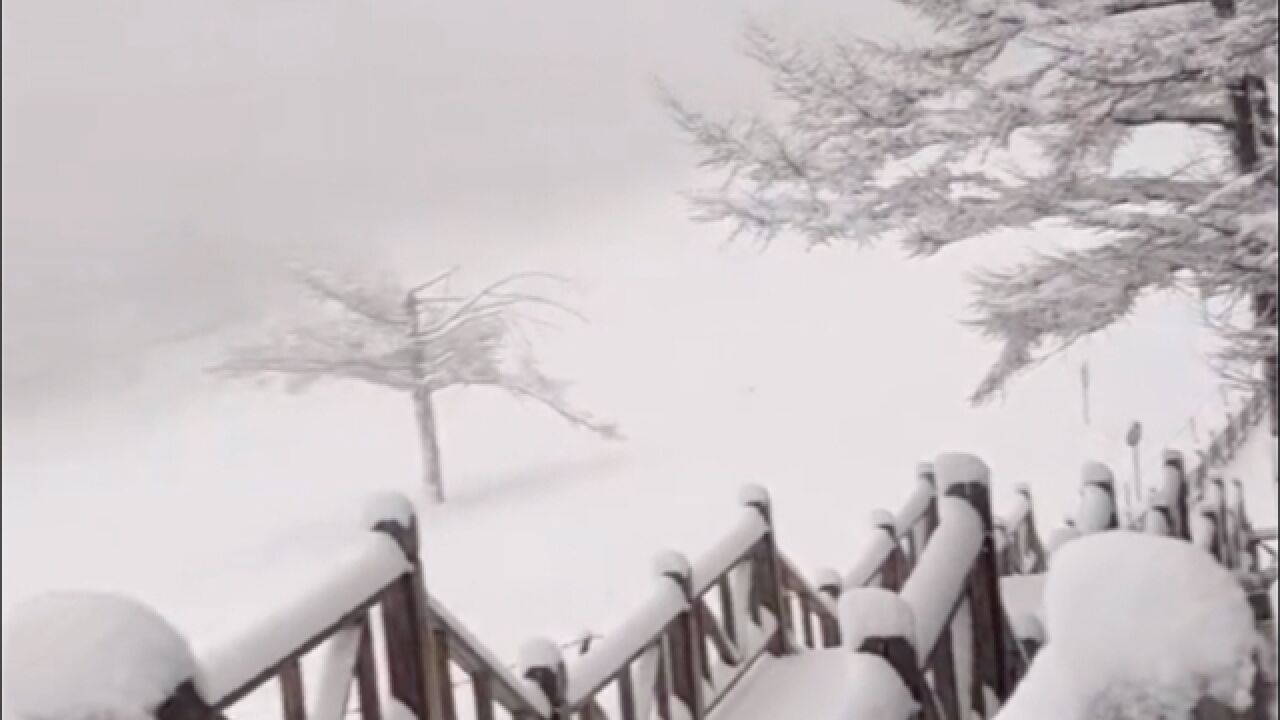 河北驼梁迎今冬初雪:漫山遍野披上厚厚一层“洁白冬装”,美不胜收