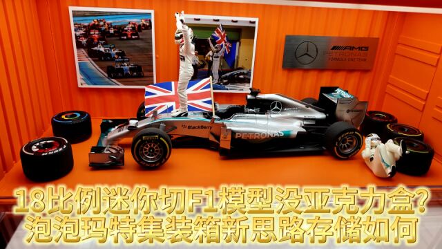 18比例迷你切F1模型没亚克力盒 泡泡玛特集装箱新思路存储如何