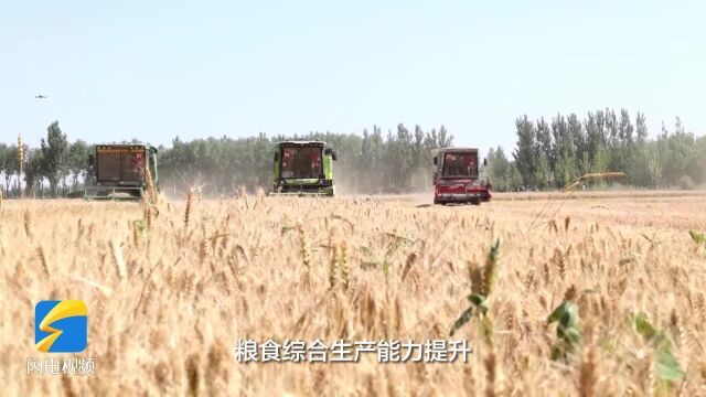 德州制定推行“吨半粮”技术标准 农业生产全链条“有本可依”