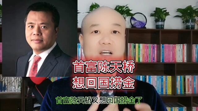 陈天桥:又想回国捞金!