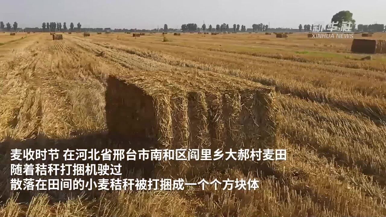 河北邢台:秸秆回收 变废为宝