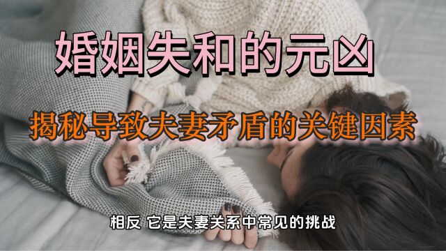 婚姻失和的元凶:揭秘导致夫妻矛盾的关键因素