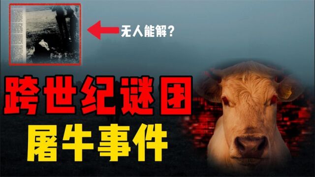 上万头牛离奇死亡,横跨两个世纪的大谜团,屠牛事件真相是什么?