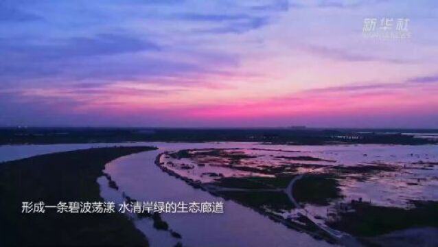 河北石家庄:水清岸绿花成海 滹沱美景醉游人