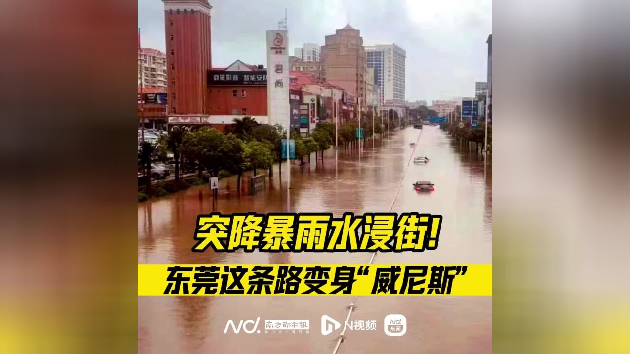 东莞突降暴雨“水浸街”!市区一主干道变身“威尼斯”