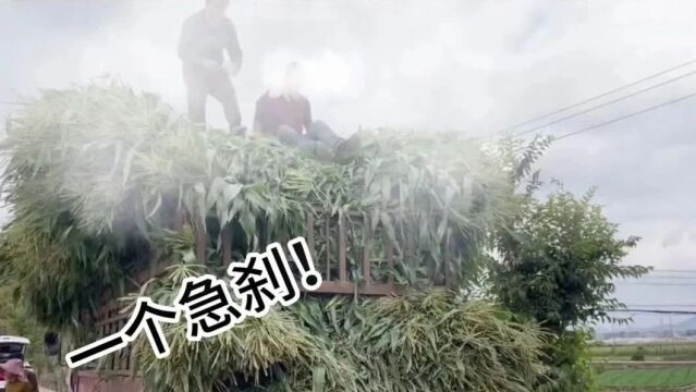 是人不是货,遇祸躲不过