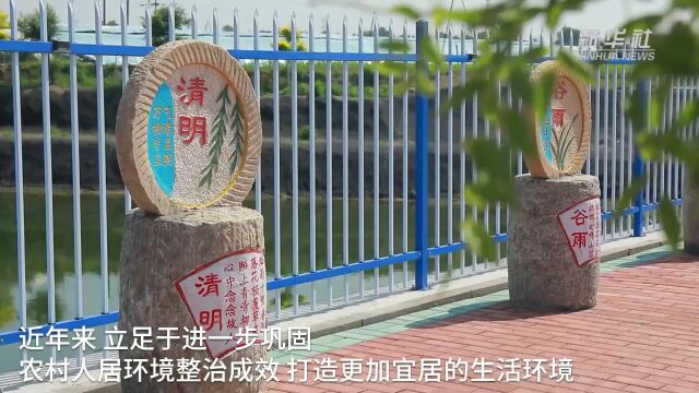 河北乐亭:昔日“废坑塘”变身乡村“风景线”