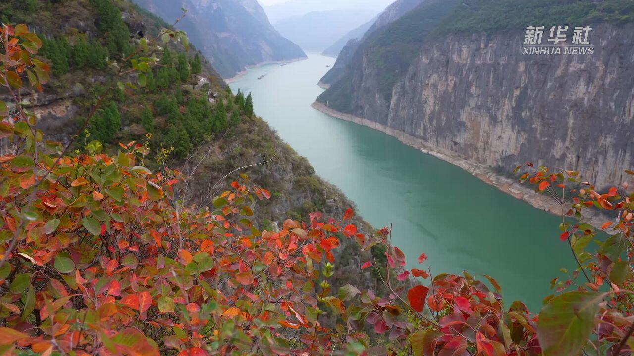 重庆奉节:瞿塘碧水红叶浓