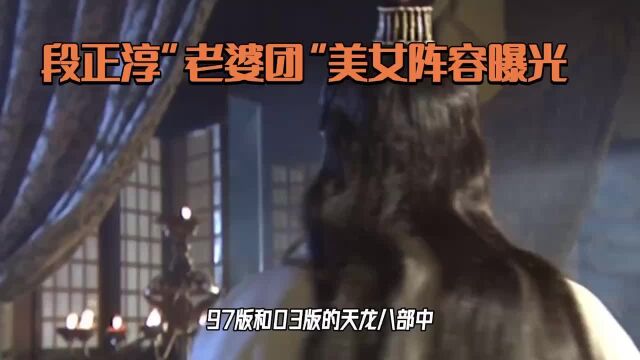 97版和03版《天龙八部》段正淳“老婆团”对比,哪版颜值高