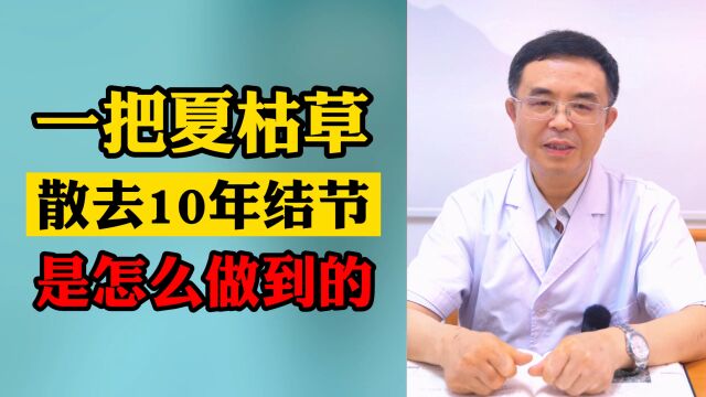 一把夏枯草,散去10年结节,消去海南渔民的心里负担.