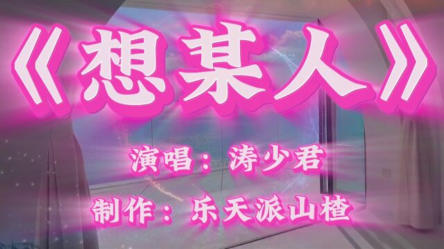 《想某人》演唱:涛少君 制作:乐天派山楂