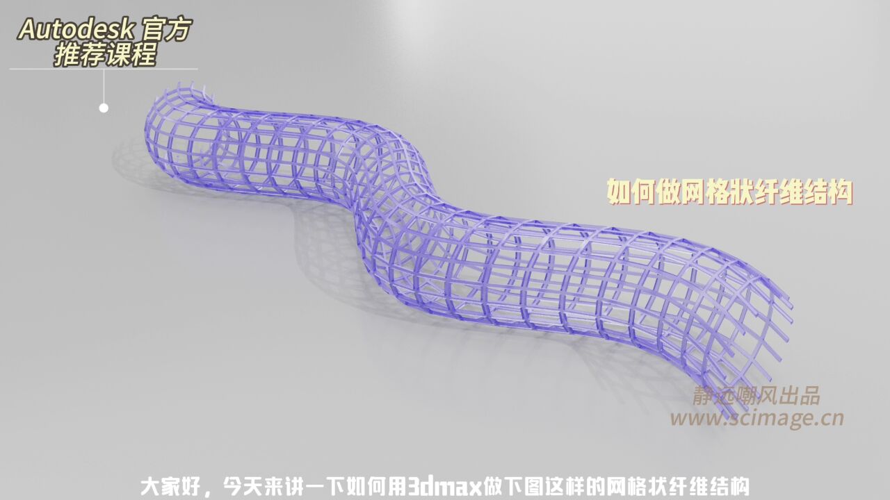 【SCI科研制图教程】如何用3DMax做网格状纤维结构(3Dmax软件)【宋元元博主】