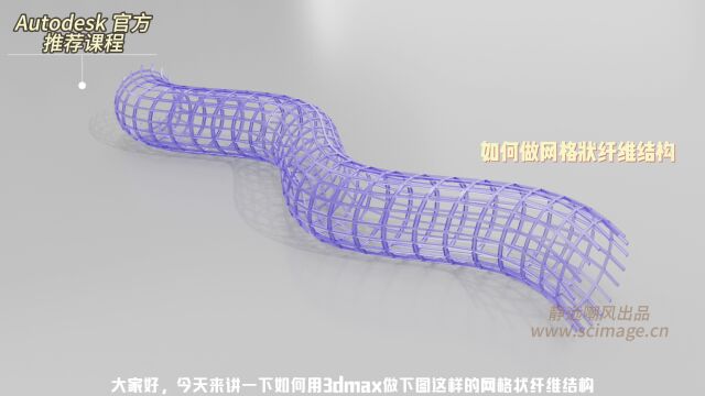 【SCI科研制图教程】如何用3DMax做网格状纤维结构(3Dmax软件)【宋元元博主】