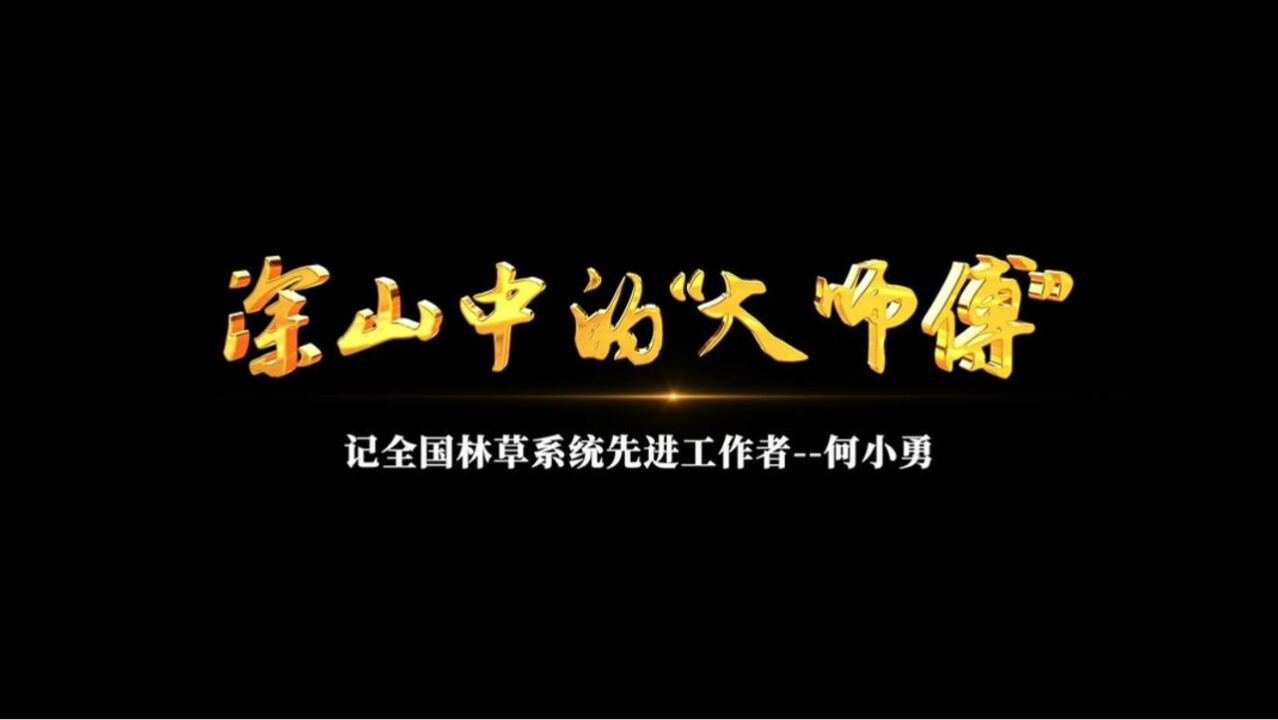 深山中的“大师傅”——记全国林草系统先进工作者何小勇