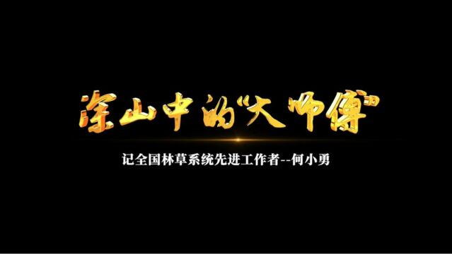 深山中的“大师傅”——记全国林草系统先进工作者何小勇