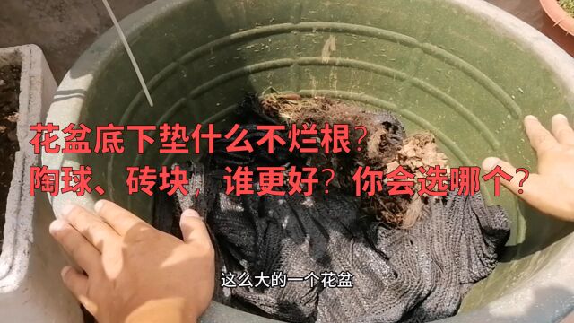 花盆底下垫什么好?陶球、砖块,谁更好?你会选哪个?