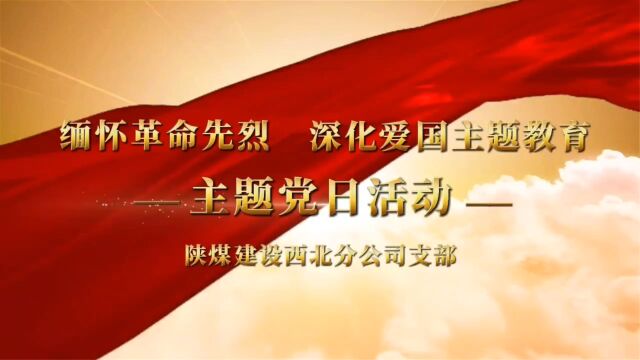 陕煤建设西北分公司:缅怀革命先烈深化爱国主题教育主题党日活动