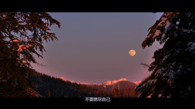 星空万里,不要燃尽自己