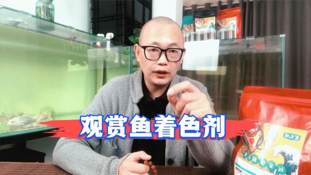 金鱼锦鲤的颜色之着色剂