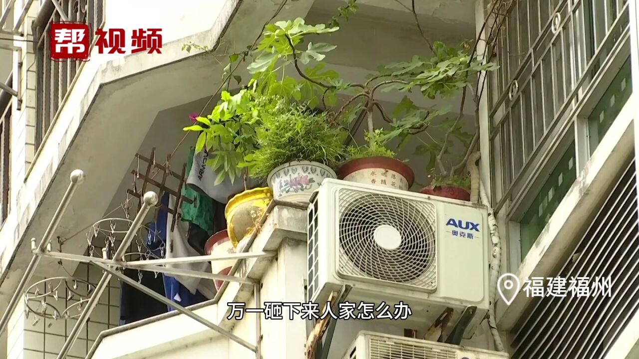 台风将至 小心高空坠物 请勿在阳台摆放花盆