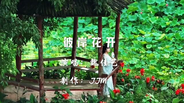 经典歌曲《彼岸花开》