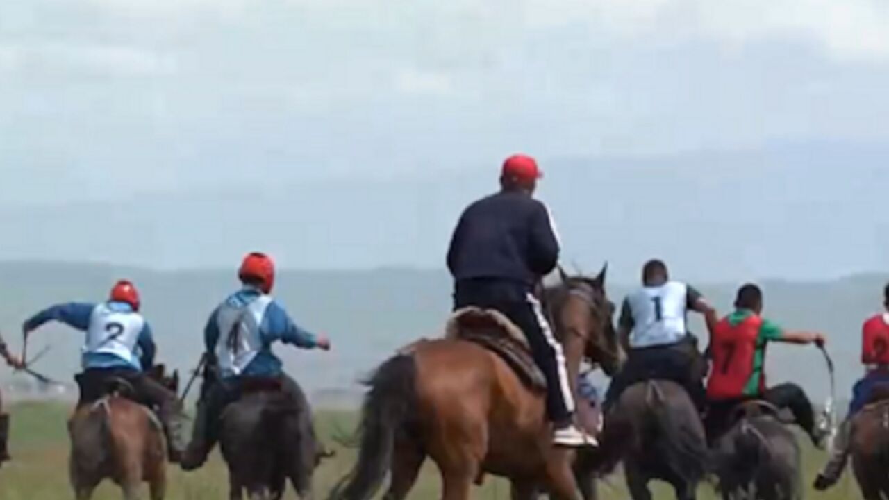 新疆昭苏天山深处避暑休闲,特色旅游项目引客来